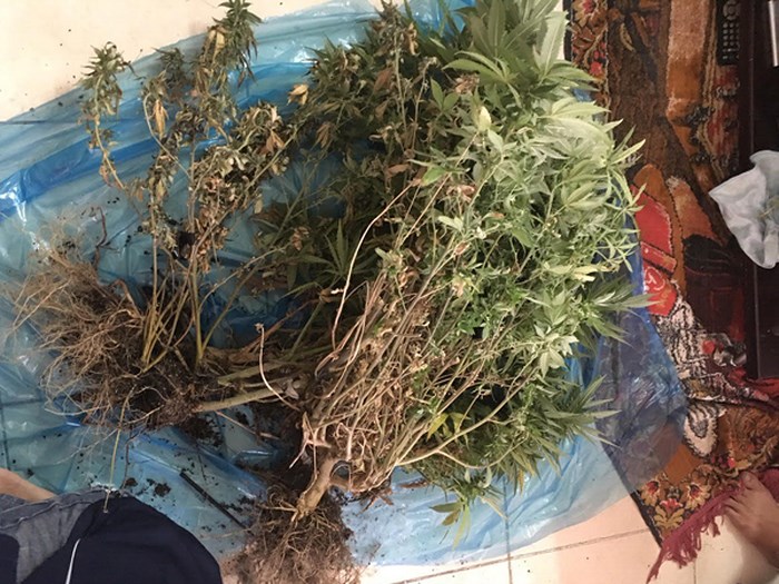 phat hien can phong bi mat co lo say can sa tai khu do thi nam thang long