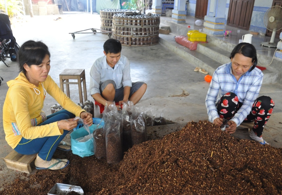 neu tin anh thi doi chang ky su tre bo cong ty my ve que trong nam