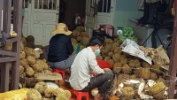 nam huong nhat gia gap 20 lan do ve viet nam
