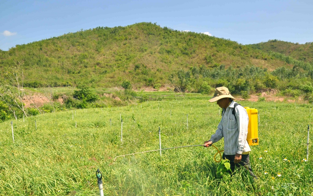 toi kho rot gia khanh hoa un u hon 1000 tan toi