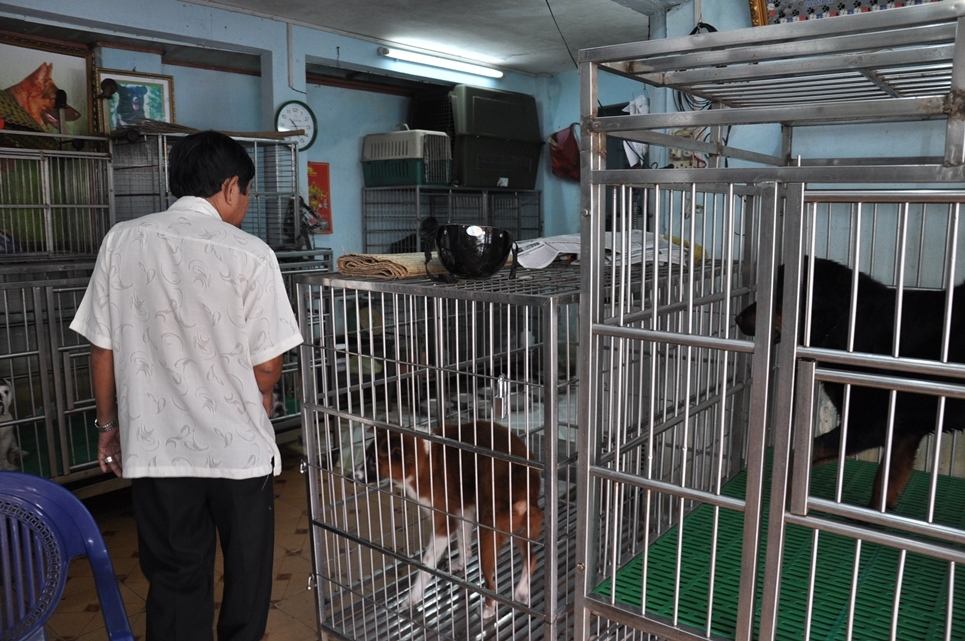 toi di giai cuu thu cung