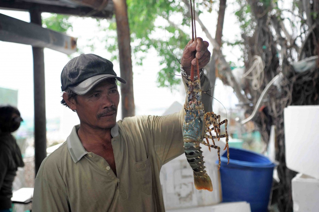 sau bao so 9 tom hum o cam ranh lai chet hang loat nguoi dan thiet hai hang ti dong
