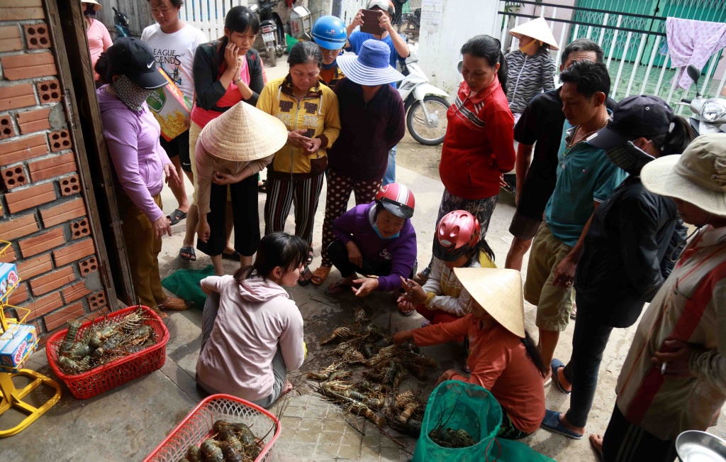 sau bao so 9 tom hum o cam ranh lai chet hang loat nguoi dan thiet hai hang ti dong