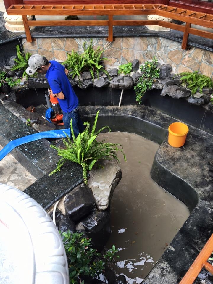 tp hcm nhon nhip dich vu phuc vu tet ngay cuoi nam