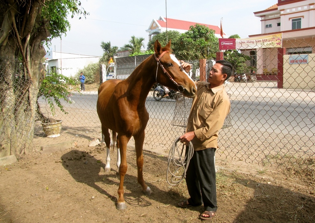 mo nga y vo ngu a tung hoa nh