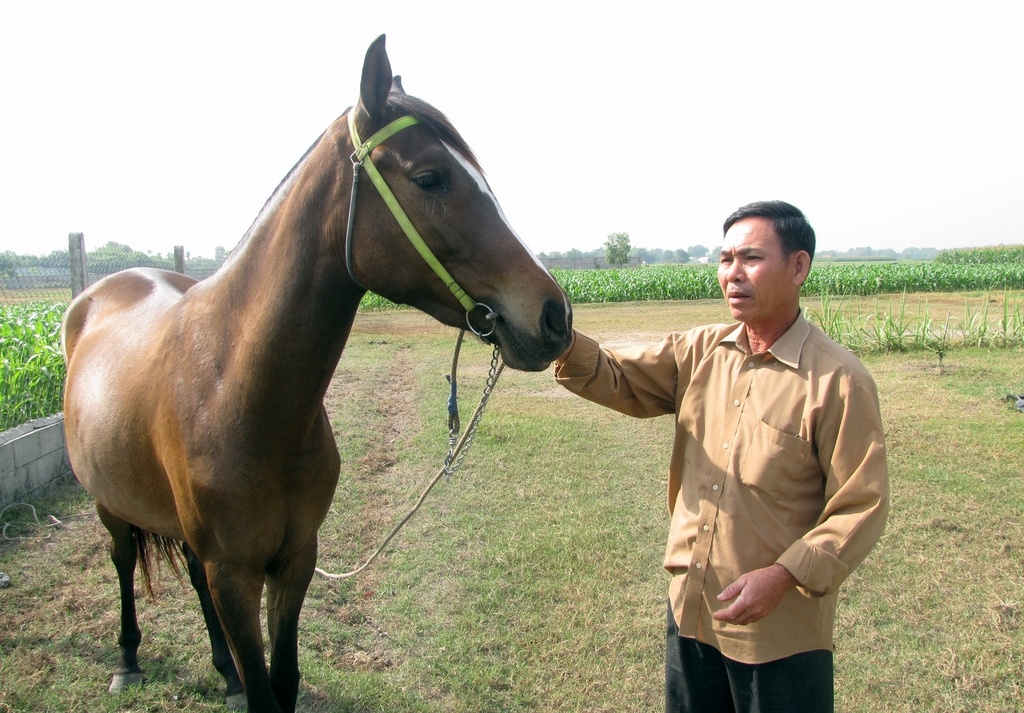 nuoi ngua nghe choi cung lam cong phu