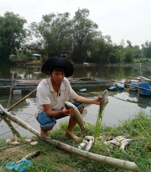 thu a thien hue dan khoc rong vi ca chet noi trang long