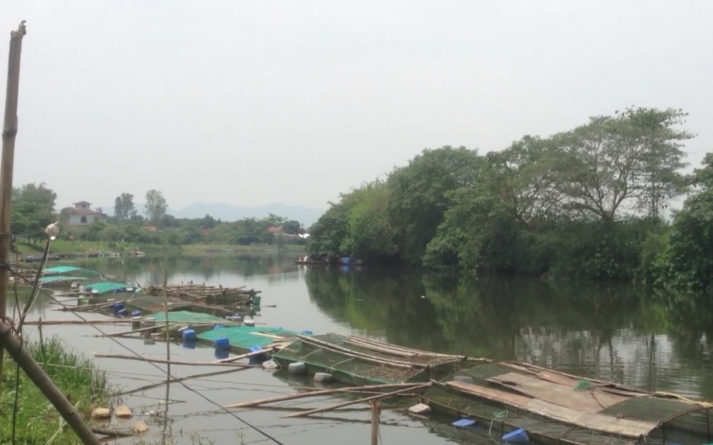 thu a thien hue dan khoc rong vi ca chet noi trang long
