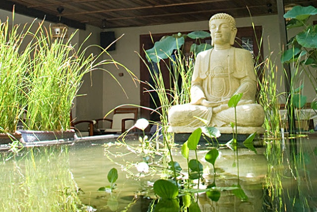 tron nang voi nhung quan cafe co khong gian xanh o sai gon