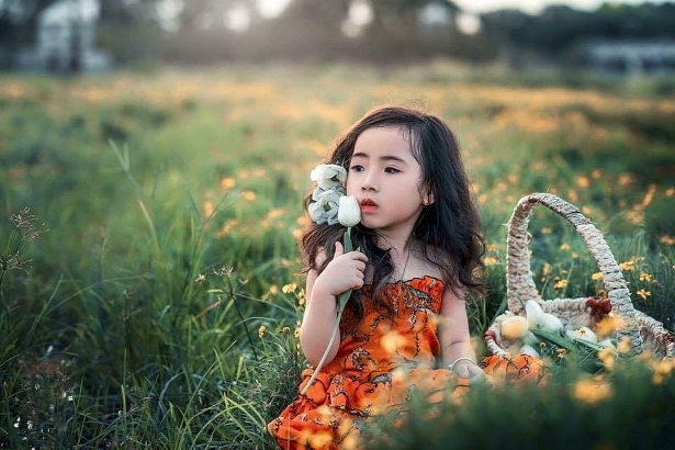Tan chảy trước bộ ảnh chụp cùng hoa sen của 'Công chúa tóc xù' 5 tuổi tan chay truoc bo anh chup cung hoa sen cua cong chua toc xu 5 tuoi