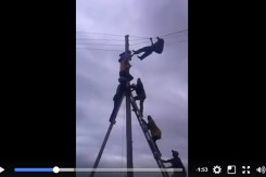 Kinh hoàng cảnh người dân leo cột điện tập thể để bắt trộm