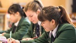 Muốn học THPT ở New Zealand phải làm gì?