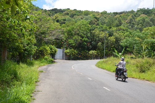 pho thu tuong yeu cau thanh tra toan dien son tra