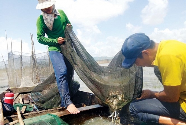 Mưu sinh đầu nguồn lũ muu sinh dau nguon lu