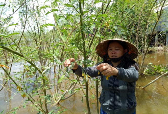 Mưu sinh đầu nguồn lũ muu sinh dau nguon lu