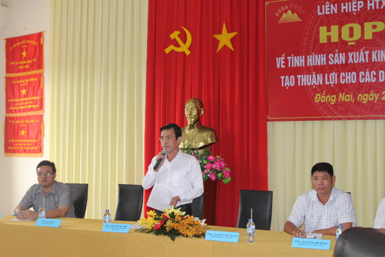 du an bot lum xum lien quan pho bi thu tinh uy dong nai