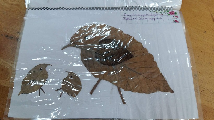 doi ban lop 2 sang tao album the gioi dong vat ngo nghinh tu la cay