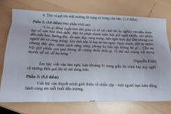 Thầy trò quận 3 'phát hoảng' với đề thi văn lớp 8