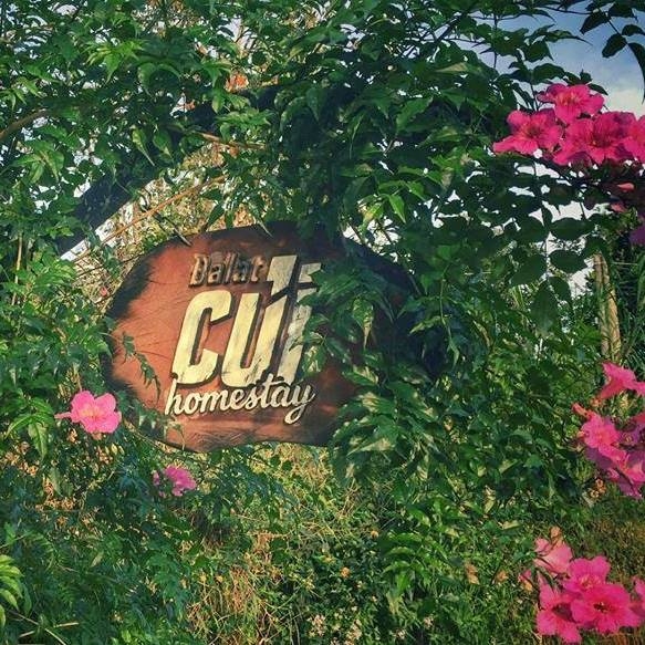 cung hot girl sing my song 2018 nguyen hoang ly review cac diem homestay tai da lat 94249