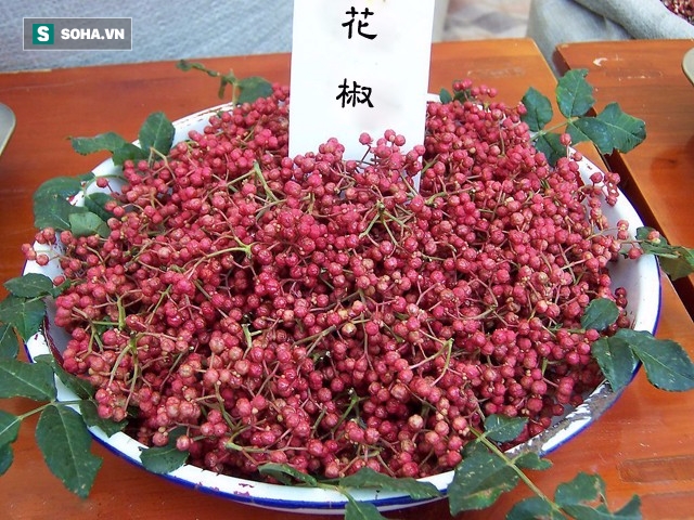 10 dieu nhat dinh phai lam cung le minh phuong sing my song tai phuong hoang co tran