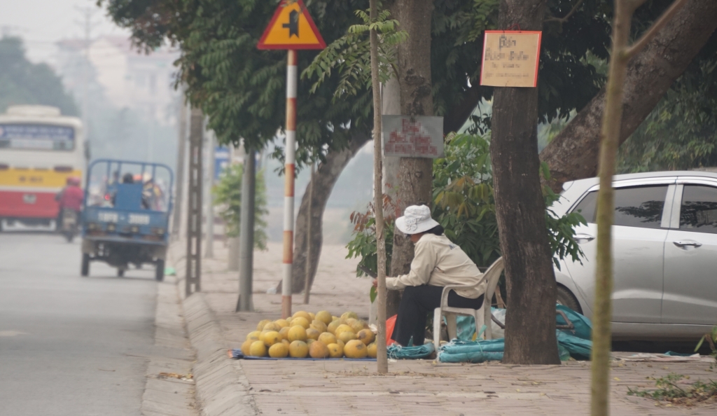 buoi dien xin gia re do khac giong