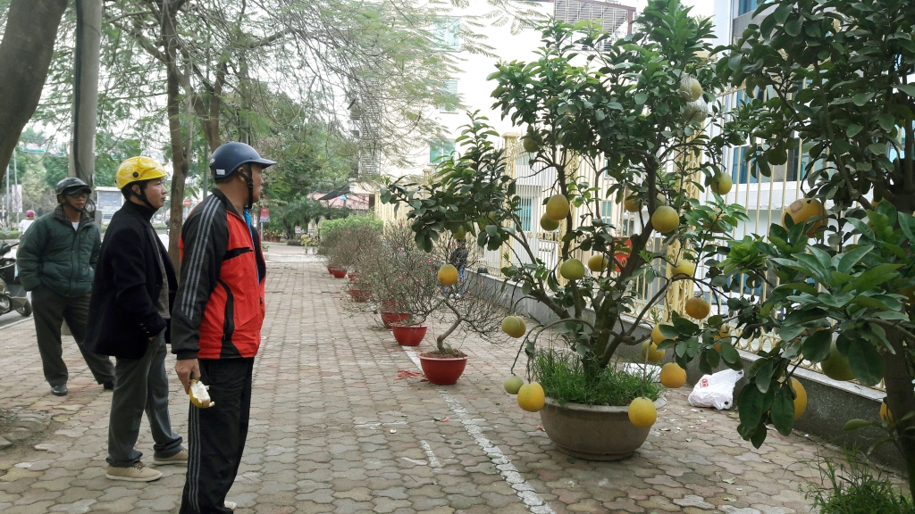 Cuối tuần, người Hà Nội háo hức xuống phố mua sắm Tết cuoi tuan nguoi ha noi hao huc xuong pho mua sam tet