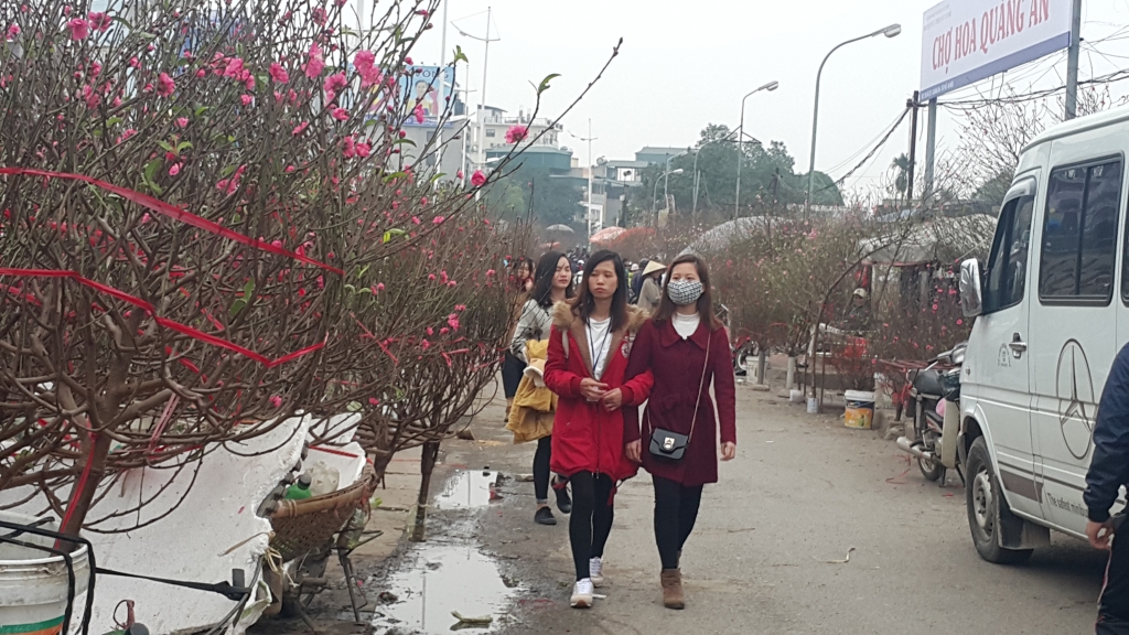 Cuối tuần, người Hà Nội háo hức xuống phố mua sắm Tết cuoi tuan nguoi ha noi hao huc xuong pho mua sam tet