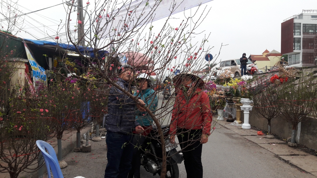 Cuối tuần, người Hà Nội háo hức xuống phố mua sắm Tết cuoi tuan nguoi ha noi hao huc xuong pho mua sam tet