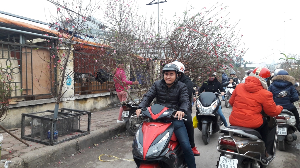 Cuối tuần, người Hà Nội háo hức xuống phố mua sắm Tết cuoi tuan nguoi ha noi hao huc xuong pho mua sam tet