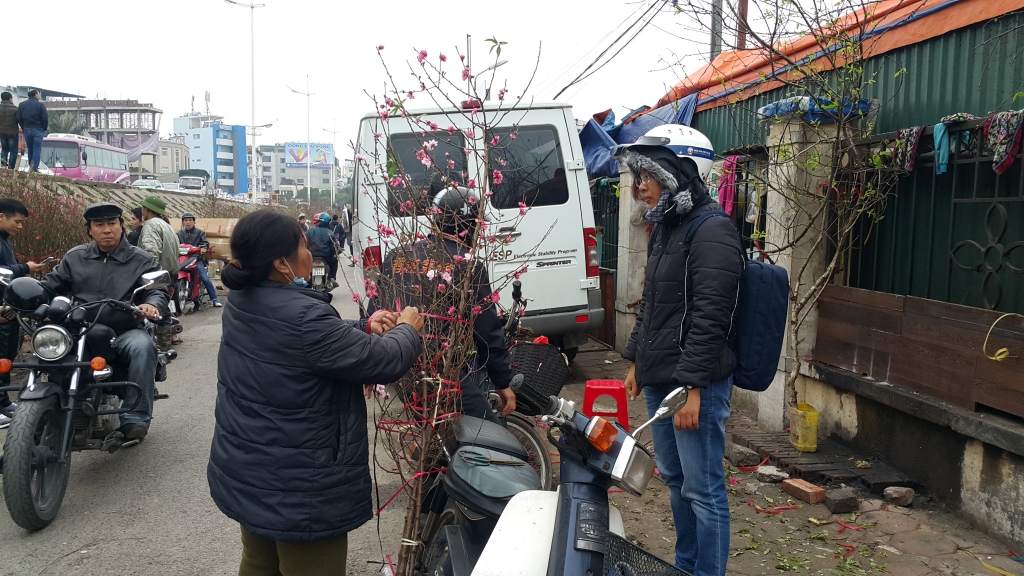 Cuối tuần, người Hà Nội háo hức xuống phố mua sắm Tết cuoi tuan nguoi ha noi hao huc xuong pho mua sam tet