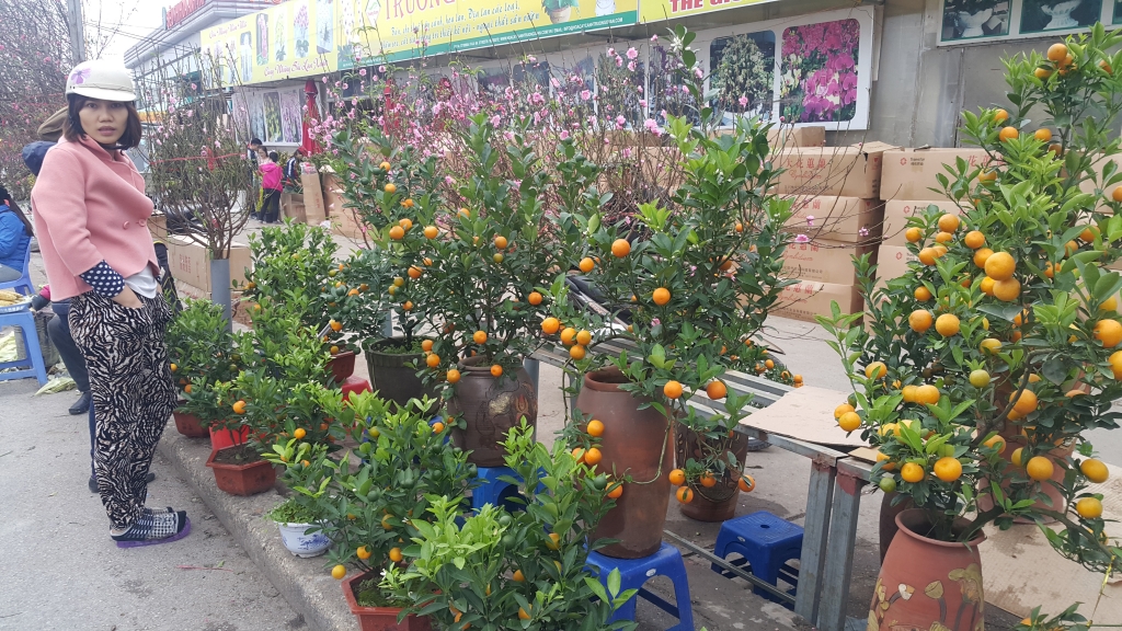 Cuối tuần, người Hà Nội háo hức xuống phố mua sắm Tết cuoi tuan nguoi ha noi hao huc xuong pho mua sam tet