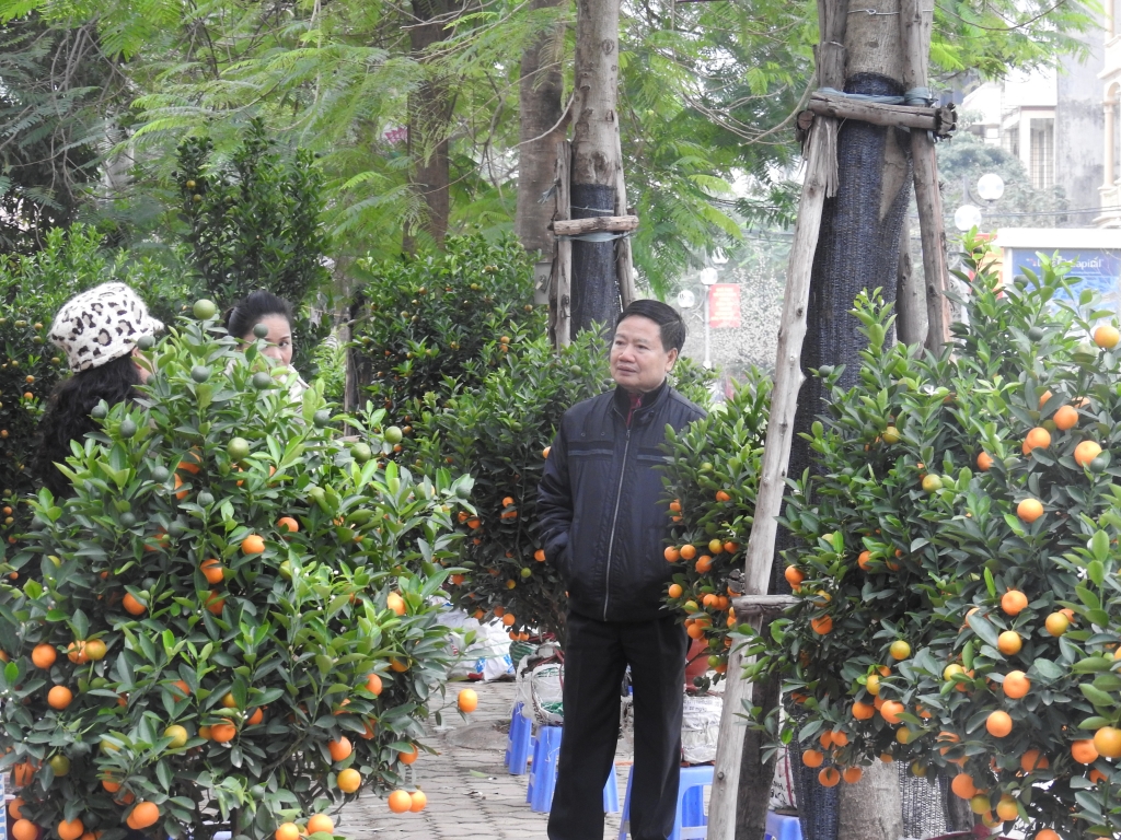 Cuối tuần, người Hà Nội háo hức xuống phố mua sắm Tết cuoi tuan nguoi ha noi hao huc xuong pho mua sam tet