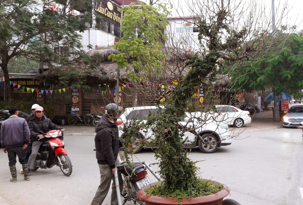 Cuối tuần, người Hà Nội háo hức xuống phố mua sắm Tết cuoi tuan nguoi ha noi hao huc xuong pho mua sam tet