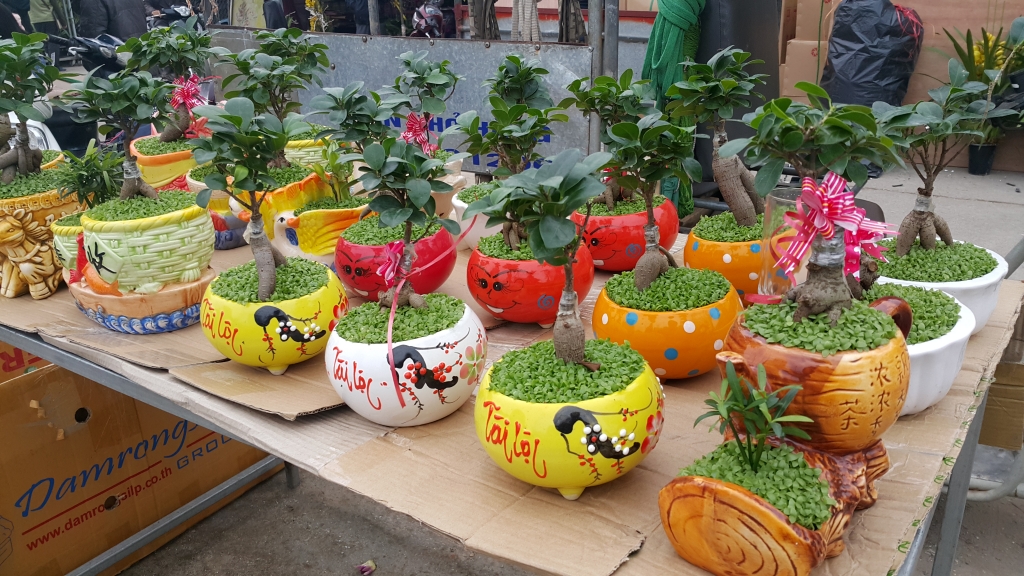 Cuối tuần, người Hà Nội háo hức xuống phố mua sắm Tết cuoi tuan nguoi ha noi hao huc xuong pho mua sam tet