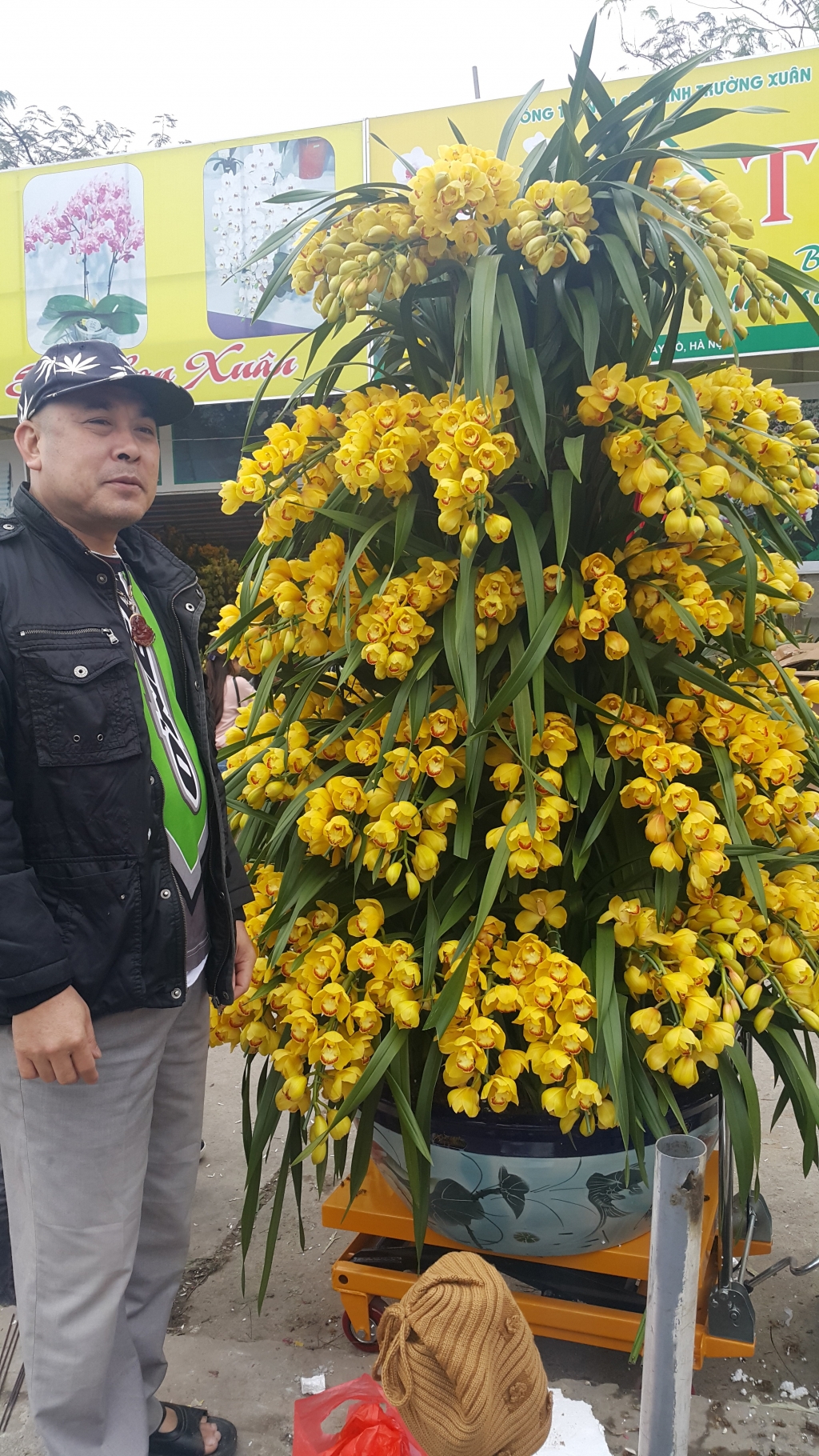 Cuối tuần, người Hà Nội háo hức xuống phố mua sắm Tết cuoi tuan nguoi ha noi hao huc xuong pho mua sam tet