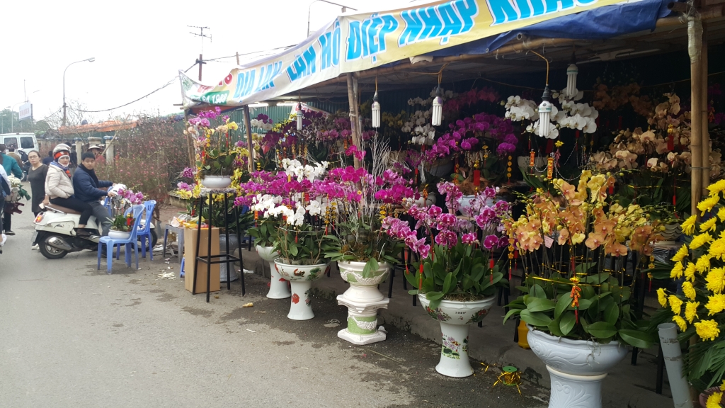 Cuối tuần, người Hà Nội háo hức xuống phố mua sắm Tết cuoi tuan nguoi ha noi hao huc xuong pho mua sam tet