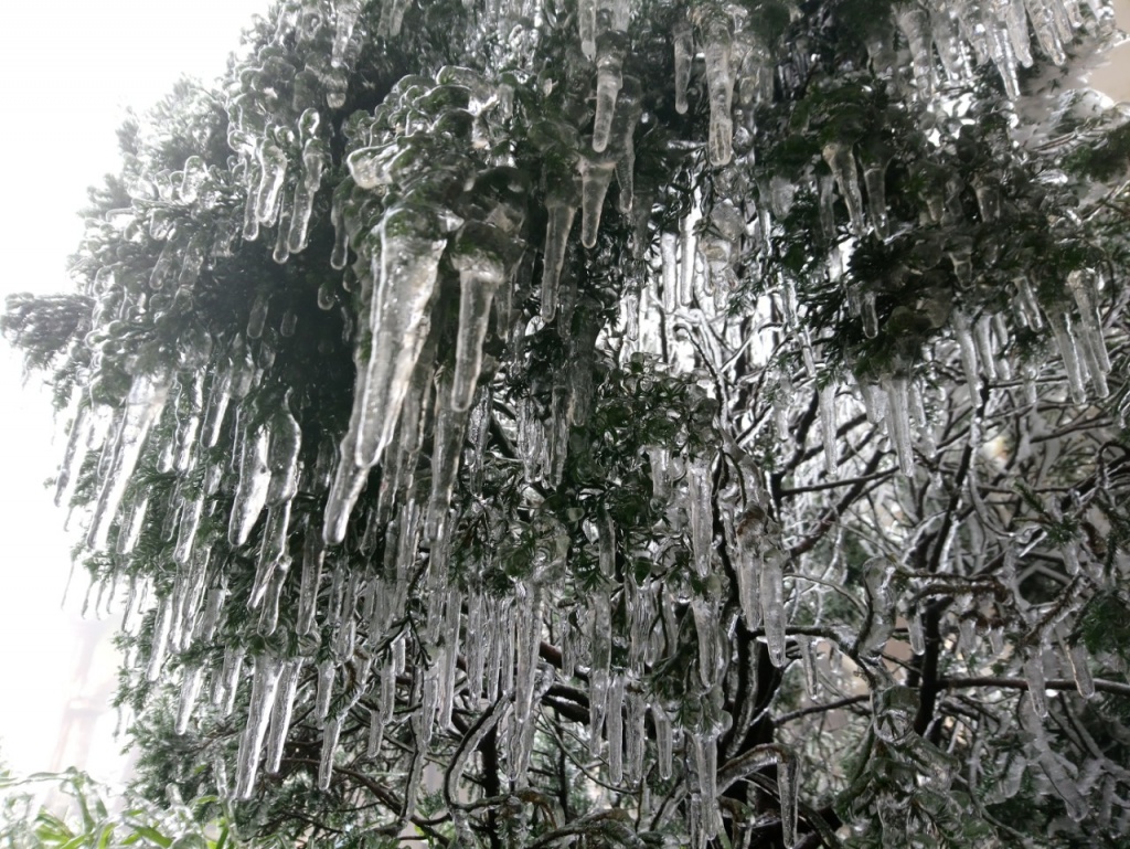 nhung hinh anh dep trong ngay thu 3 mau son co bang gia