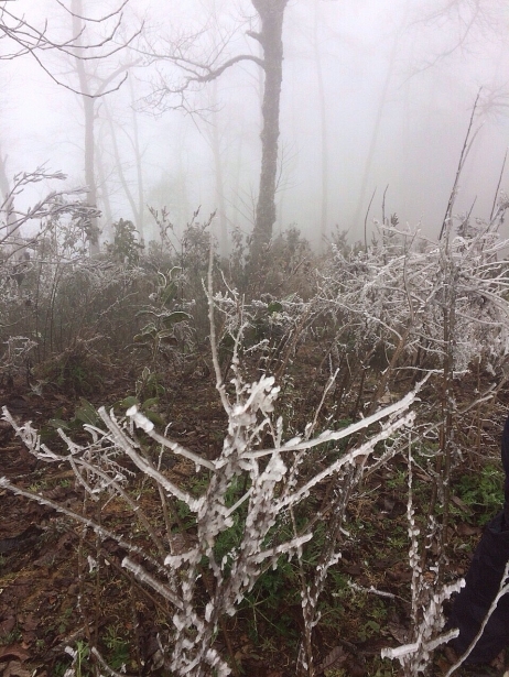 bang gia phu trang tren deo o quy ho hang loat phuong tien bi nga do tron truot