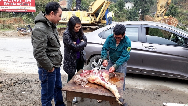 hai ngay co toi 118 con gia suc o lao cai bi chet ret
