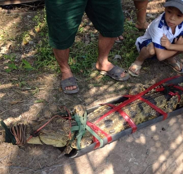 nhieu nguoi den xem thanh nien keo luoi bat ngo bat duoc 2 con ca sau