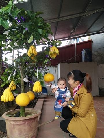 tet dau tien cua be trai chao doi 71kg nang nhat viet nam