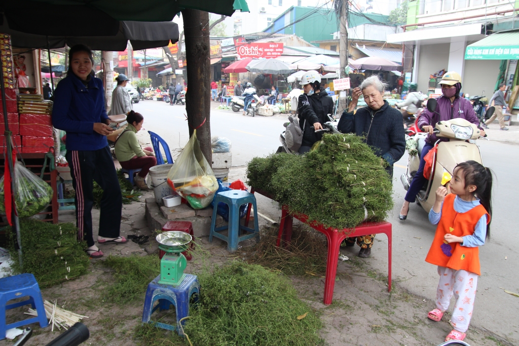 chieu 30 tet nguoi dan ha noi di mua rau mui gia ve tam tat nien