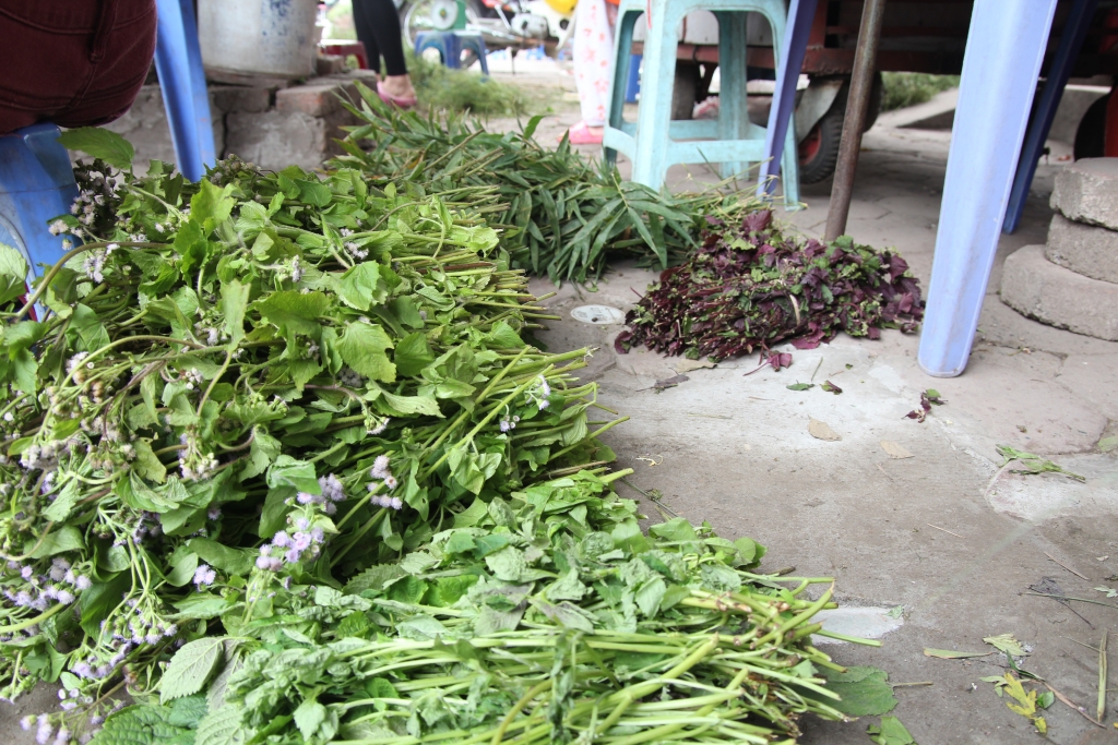 chieu 30 tet nguoi dan ha noi di mua rau mui gia ve tam tat nien