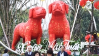 vuon hoa trong thao cam vien bi giam nat ngay dau nam moi