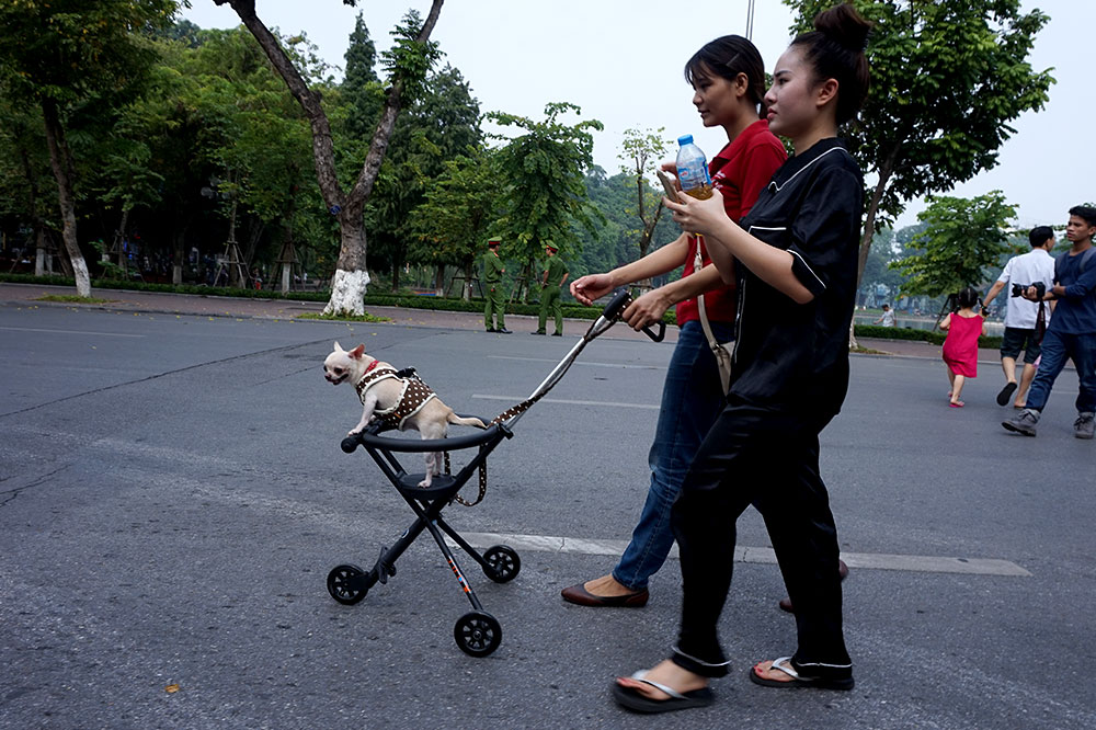 cho canh dien thoi trang sang chanh tung tang dao pho