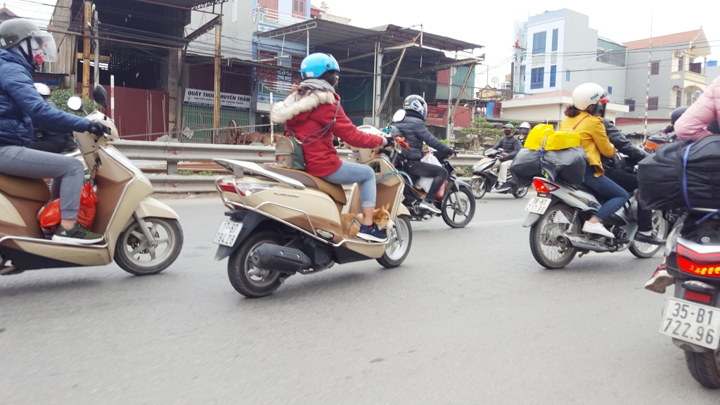hanh trang linh kinh do dac va thu cung tro lai thu do