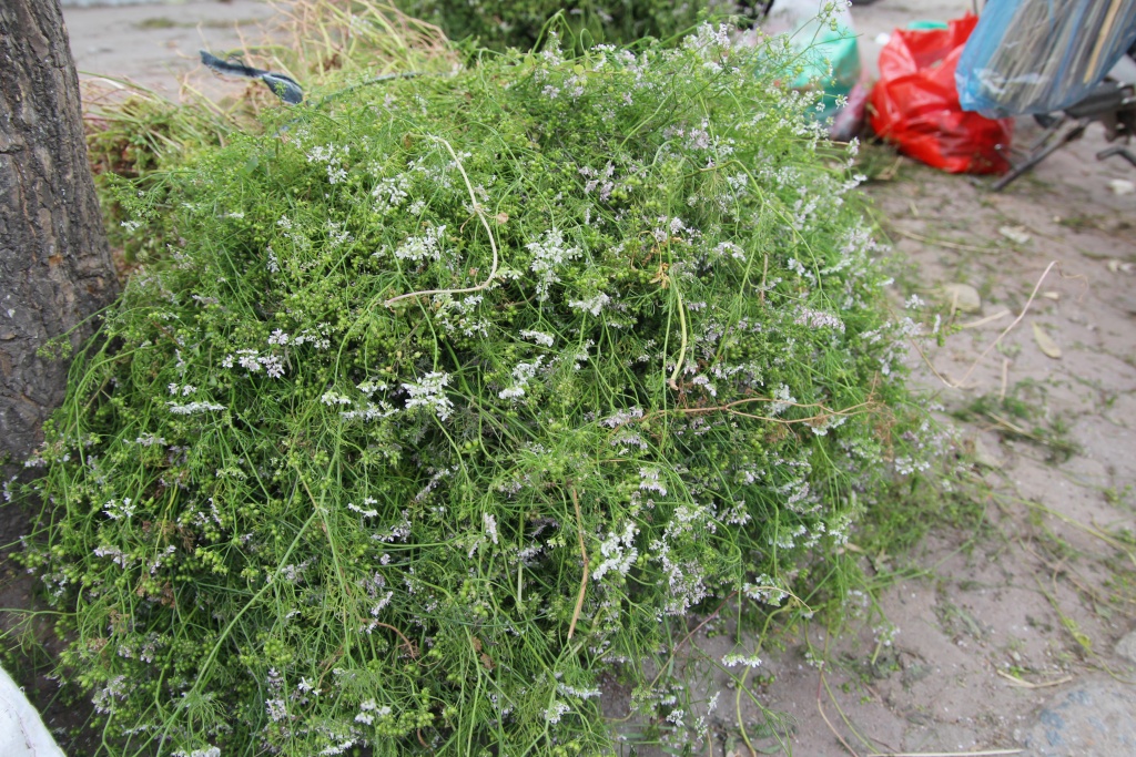 phong tuc tam la mui chieu 30 tet co tot cho suc khoe