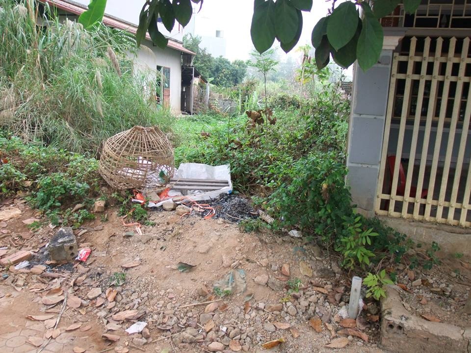 toan canh vu nu sinh vien bi sat hai o dien bien