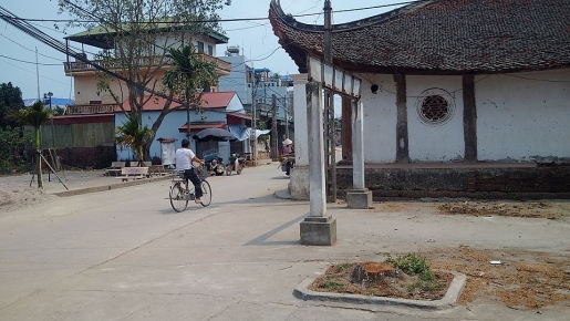 can canh nhung cay xanh bi chat ha vi vi pham hanh lang atgt