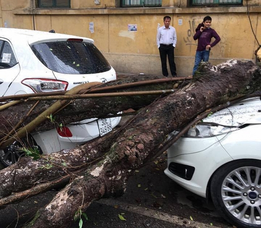 ha noi mua lon cay do khien nhieu nguoi di duong hoang loan